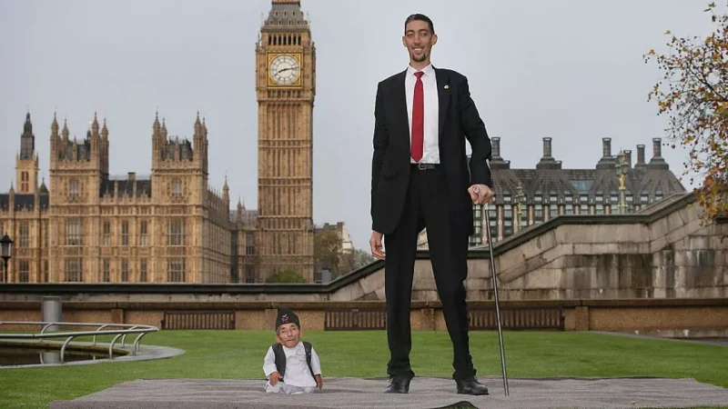 Scaling New Heights: Exploring the Life of the Tallest Man in the World”