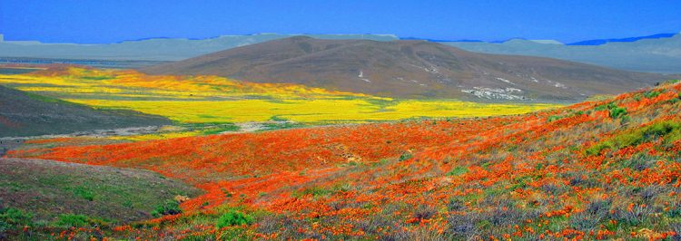 : Discovering Kern County, California: A Tapestry of Nature, Agriculture, and Rich History