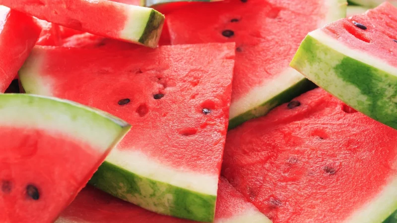 Exploring the Juicy Debate: Can Dogs Eat Watermelon?