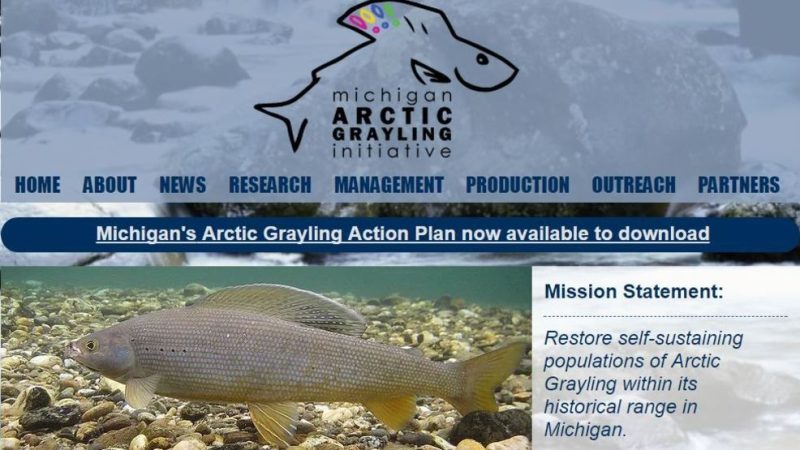 Grayling Mi News